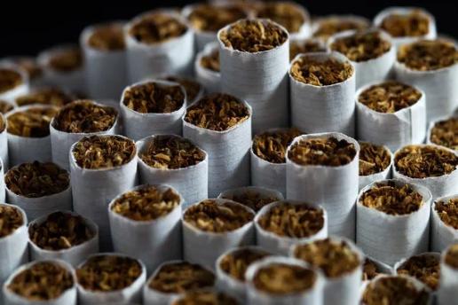 14% внеплановых проверок табачной розницы пришлось на Ленинградскую область, 26% профвизитов — на Москву и Подмосковье